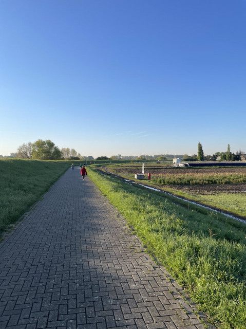 Rosellener Abendlauf (Photo 1)