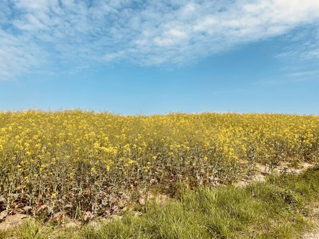 Ausflug der Lehrkräfte (Photo 2)