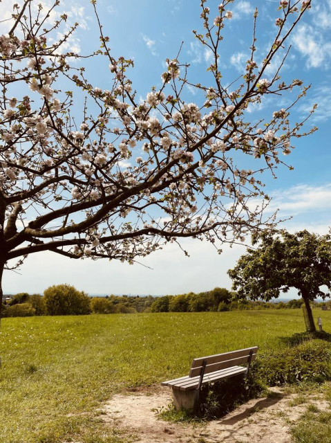 Ausflug der Lehrkräfte (Photo 4)