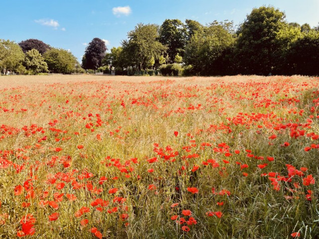 Ausflug der Lehrkräfte (Photo 1)